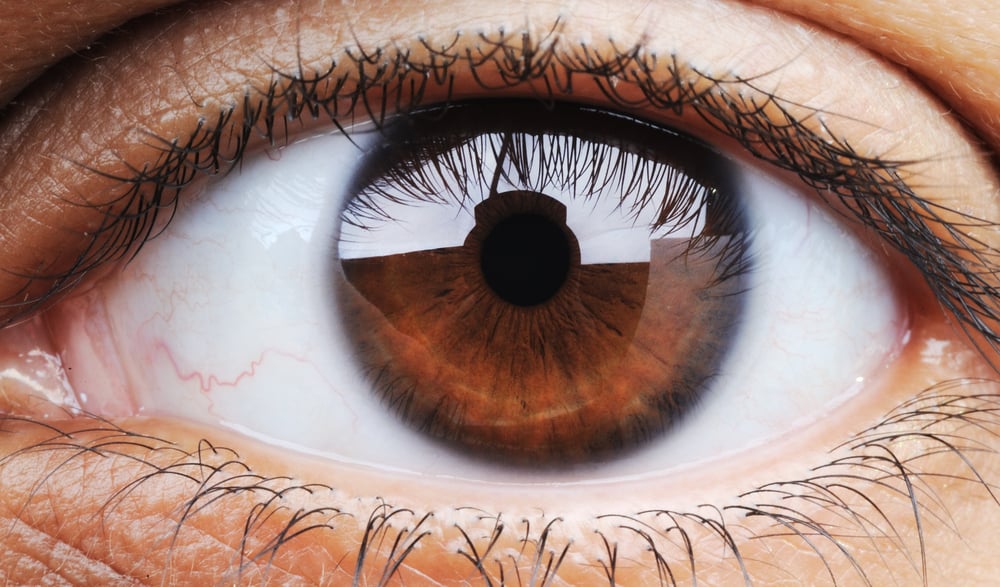Closeup of human eye, macro mode-1