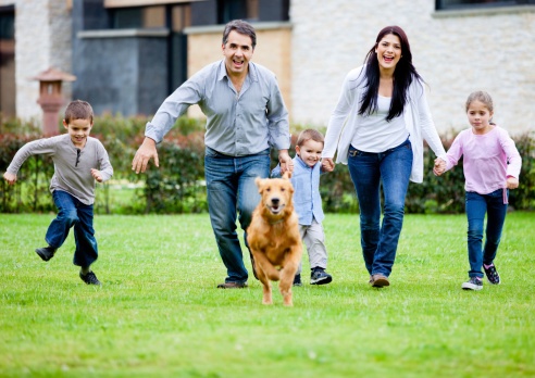 tips on fighting fido's bad breath; dental treats for your dog